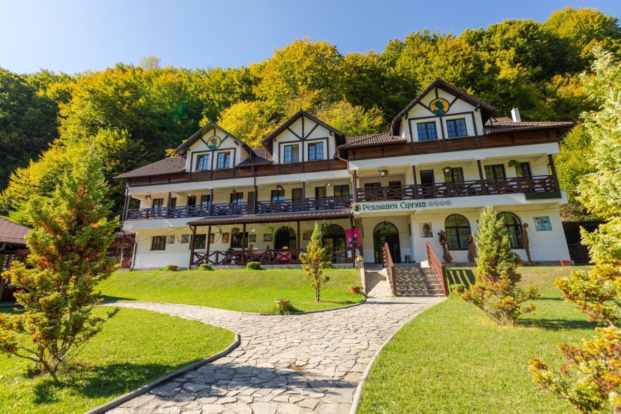 Pensiunea Ciprian Curtea De Arges Exterior photo
