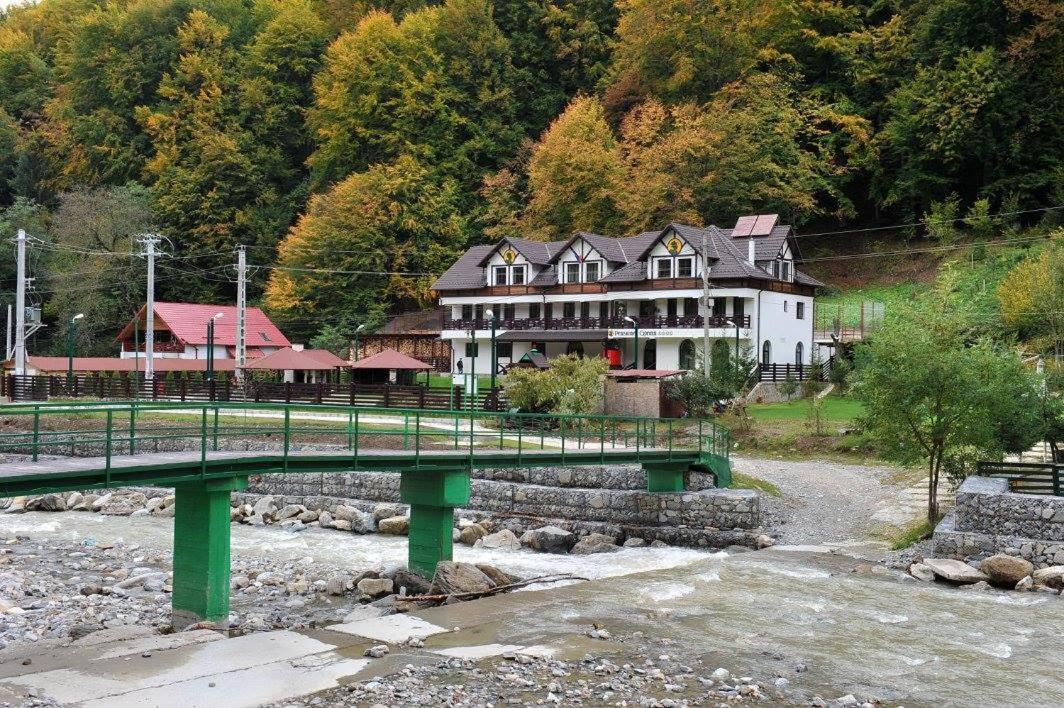 Pensiunea Ciprian Curtea De Arges Exterior photo